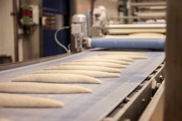 Upgrading Your Food Manufacturing Facility: Conveyor Belt Repair or Replacement?