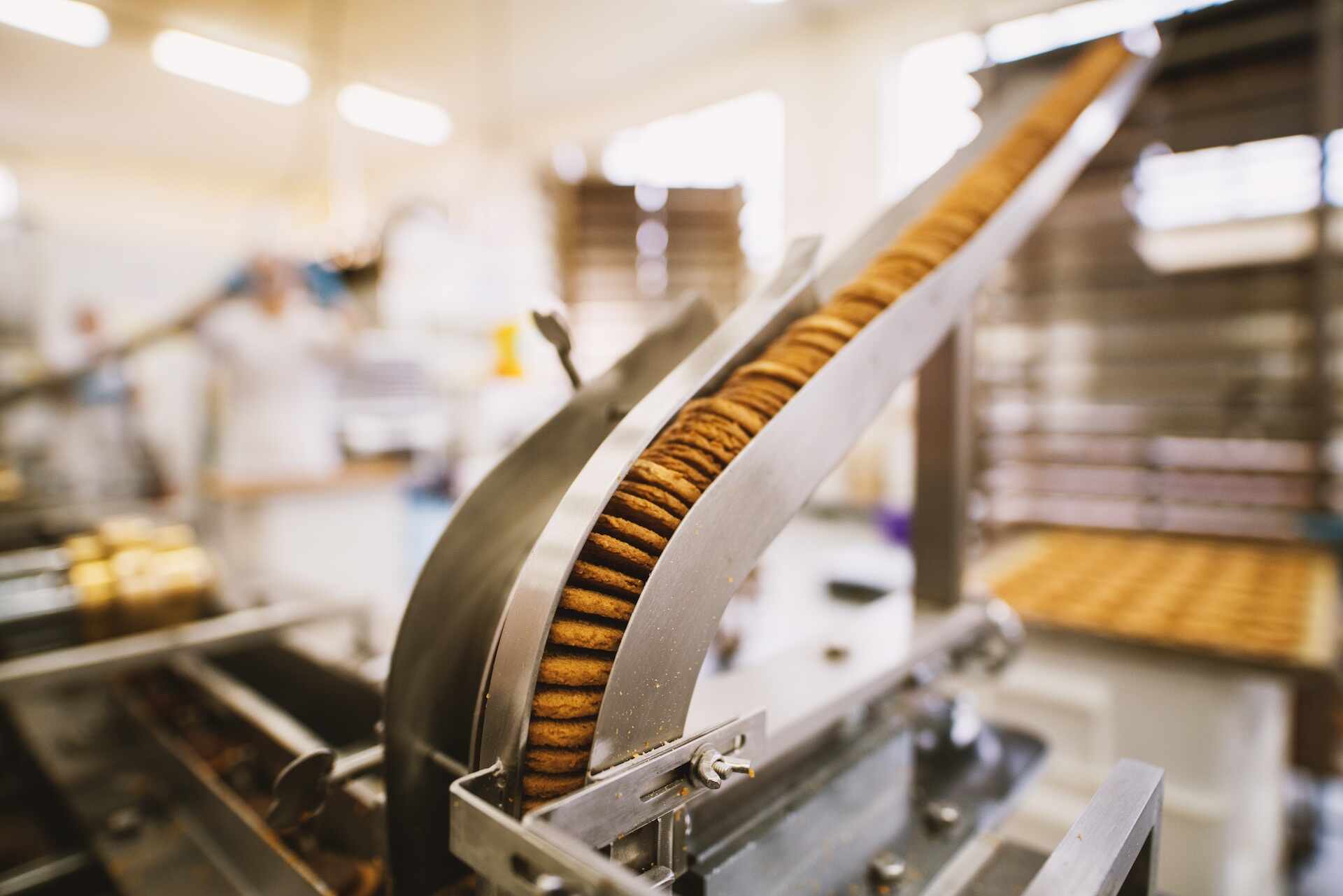 Potential of Biscuit Conveyor Belts: What To Know