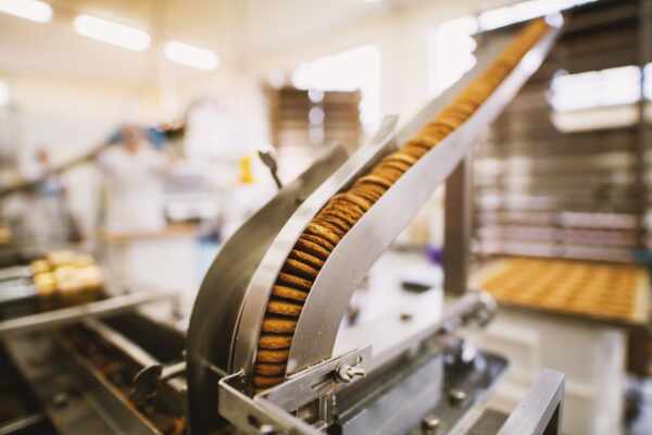 Potential of Biscuit Conveyor Belts: Features, Applications, and Maintenance Tips