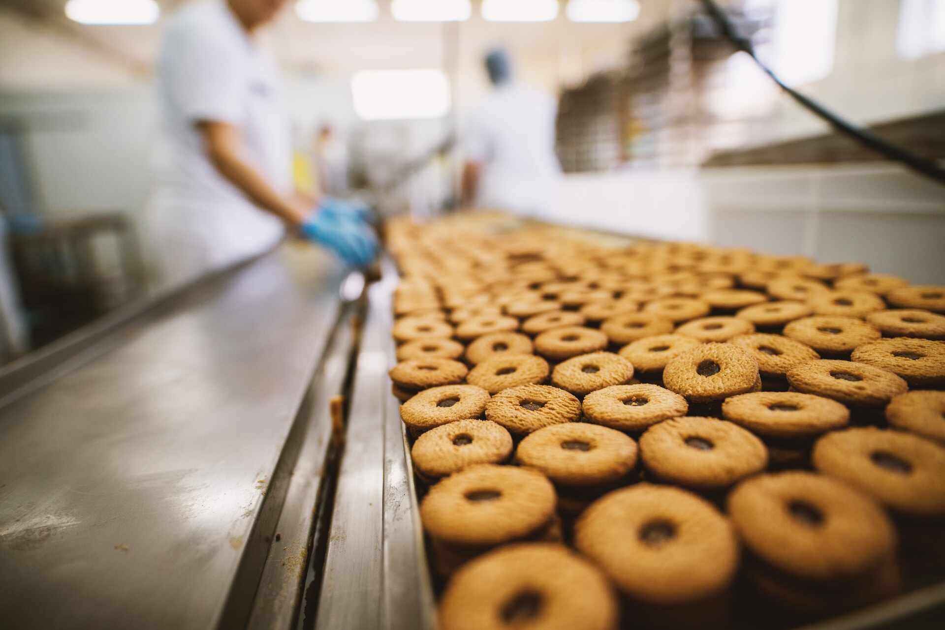 Conveyor Belt System Design Essentials for Food Manufacturing Efficiency