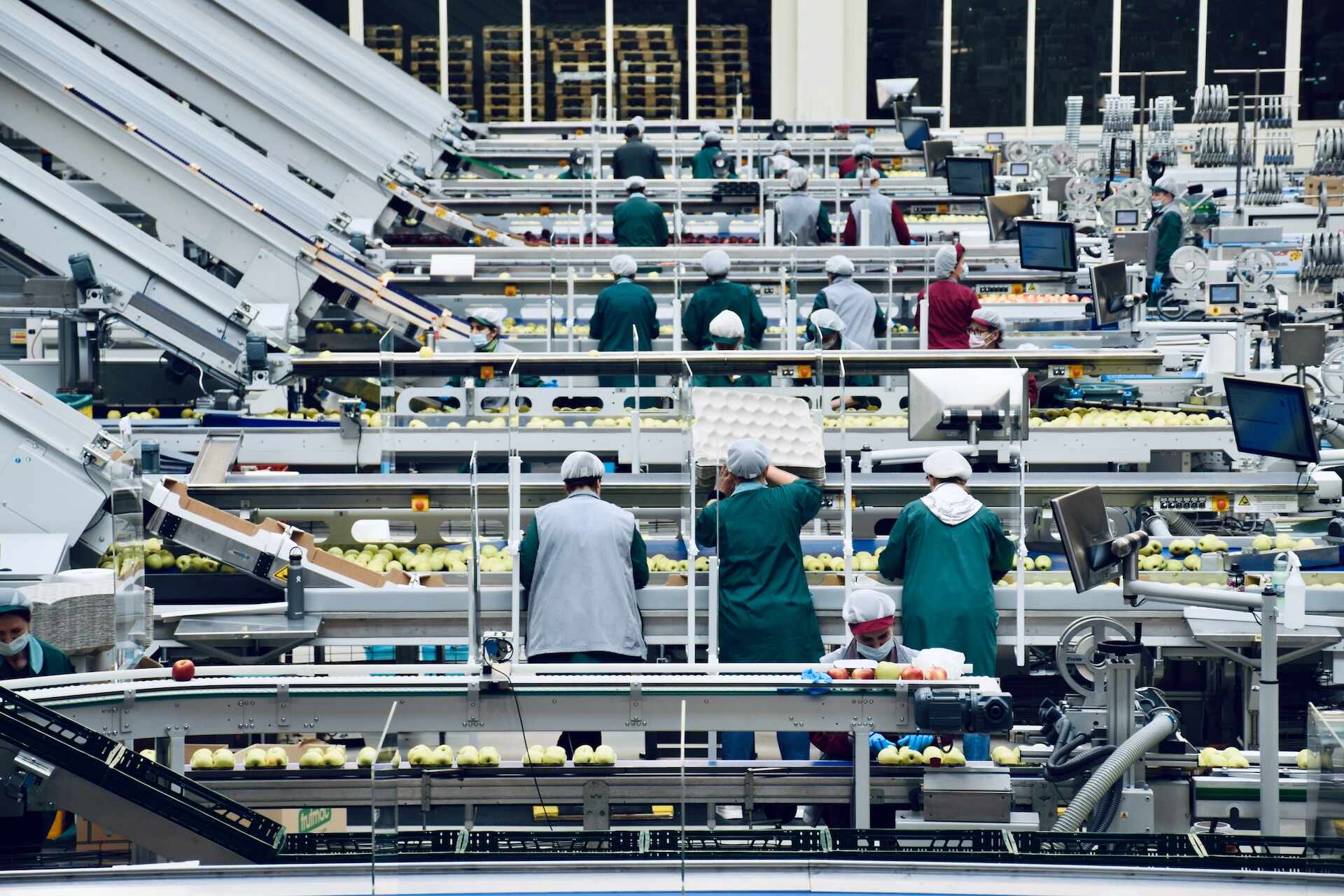 Optimising Energy Efficiency in Conveyor Belt Systems for Food Manufacturing