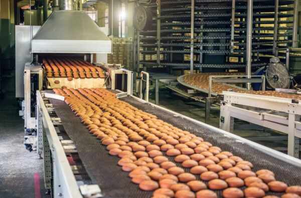 Maximising Food Manufacturing Efficiency with Customised Conveyor Belt Solutions