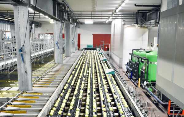 Conveyor Belt Repair vs. Replacement: Making the Right Decision for Your Facility