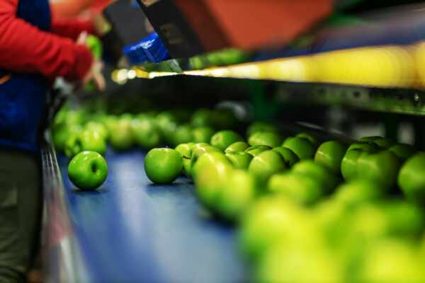 Comprehensive Guide to Conveyor Belt Cleaning Systems in Food Manufacturing