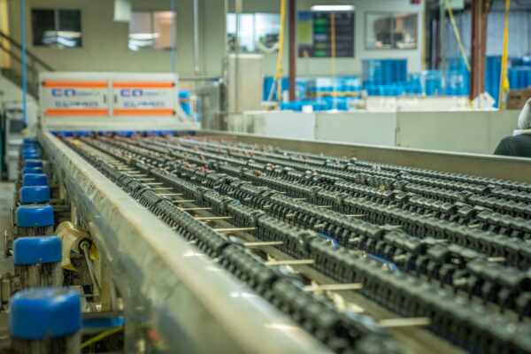 Conveyor Belt Maintenance Tips for Maximising Efficiency and Longevity