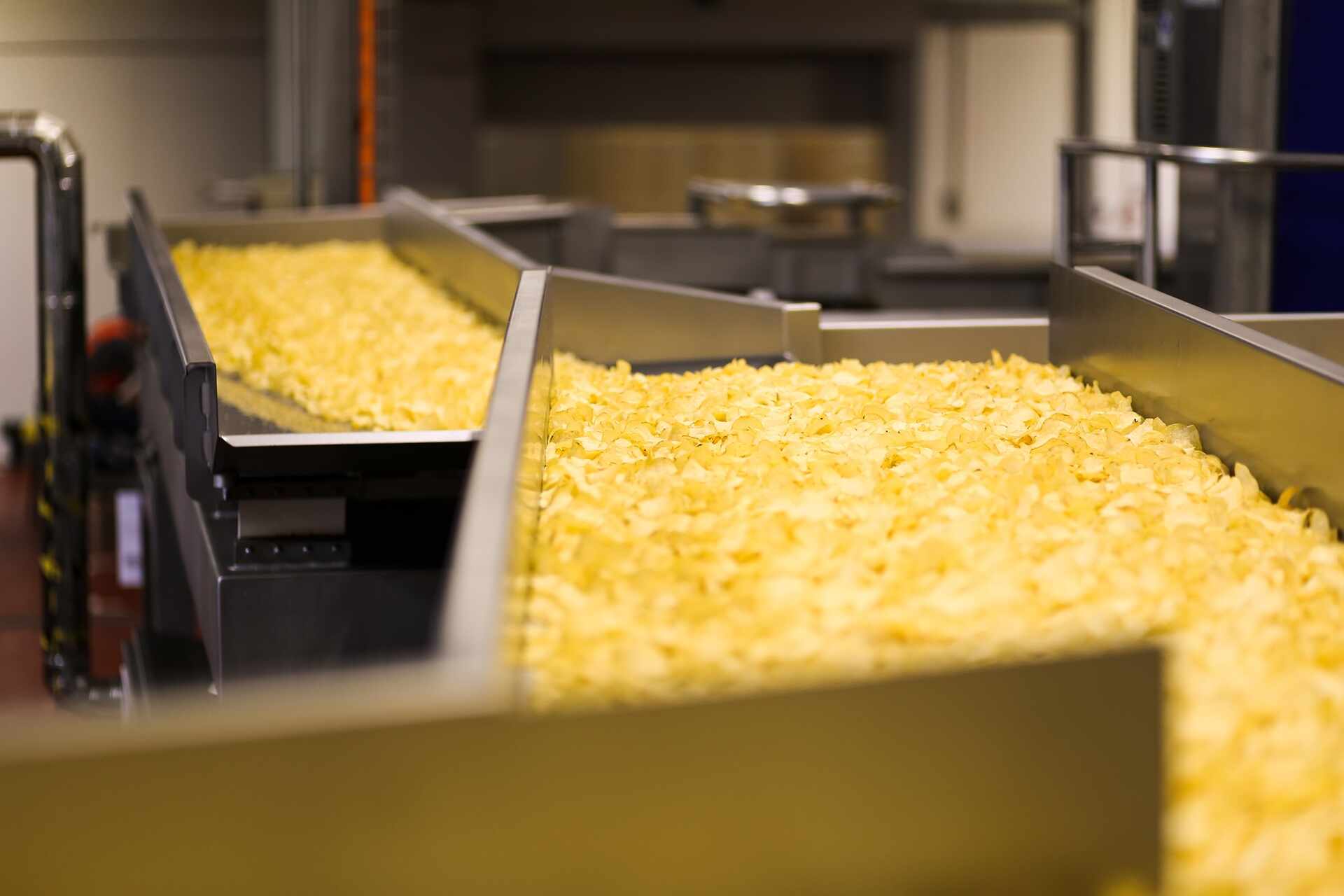 Food Manufacturing Efficiency: The Crucial Role of Conveyor Belts