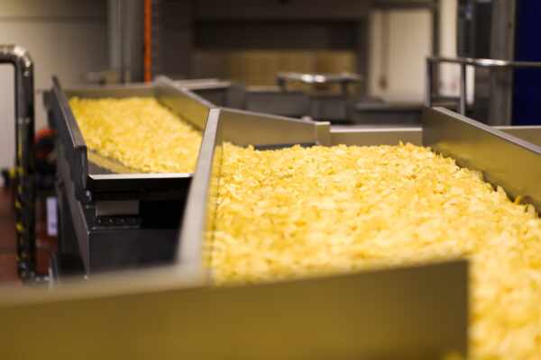 Food Manufacturing Efficiency: The Crucial Role of Conveyor Belts