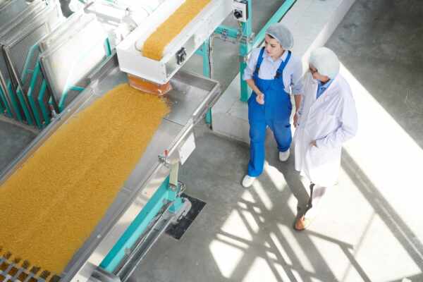 Conveyor Belts for Food Manufacturing: Meeting Hygiene and Efficiency Standards