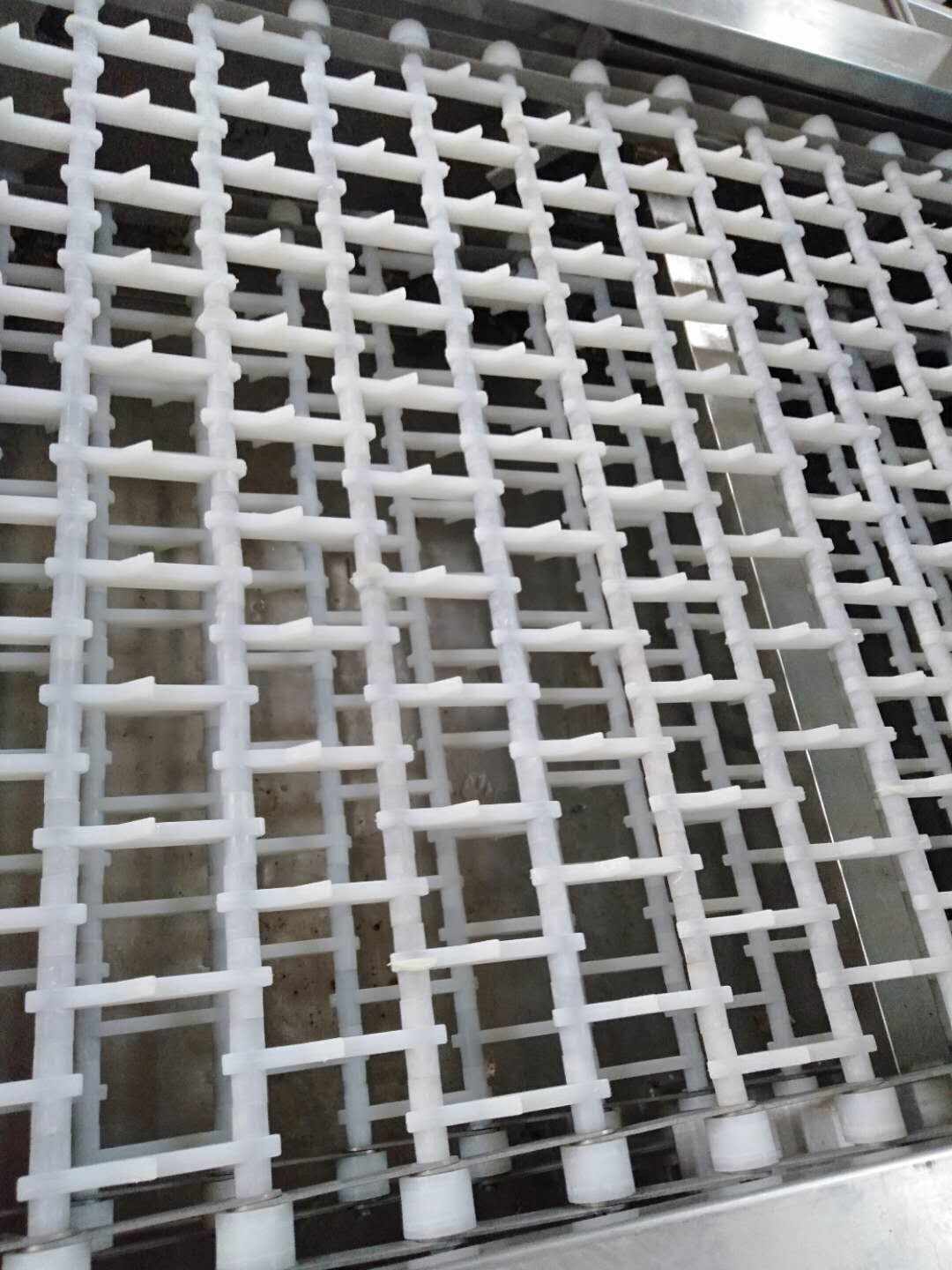 A Comprehensive Guide to Conveyor Belt Types and Their Applications in Food Manufacturing