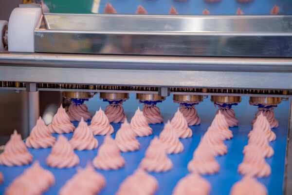 Safe and Efficient Conveyor Belt Solutions for Food Manufacturing Facilities