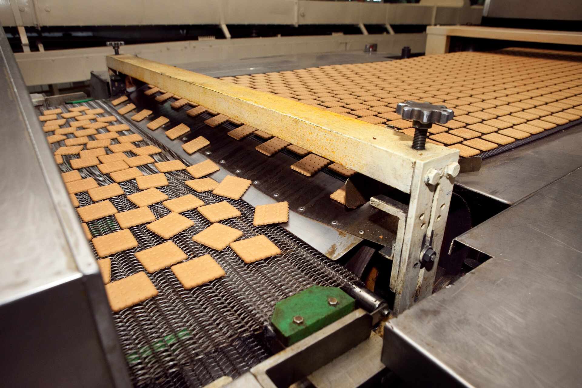 The Impact of Conveyor Belt Inefficiencies in Food Manufacturing and How to Address Them