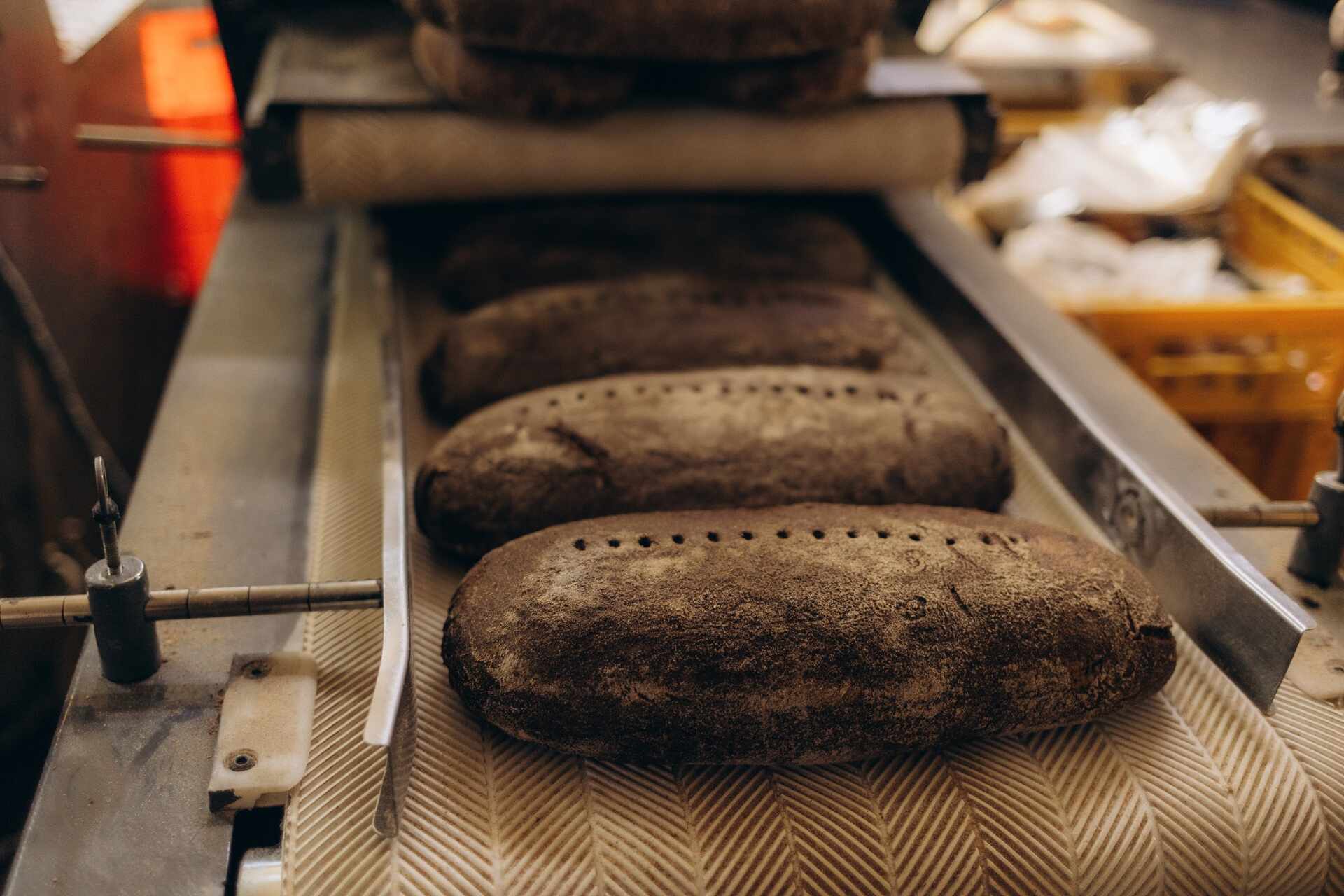 Conveyor Belts in Food Manufacturing: Meeting Standards in Food Processing