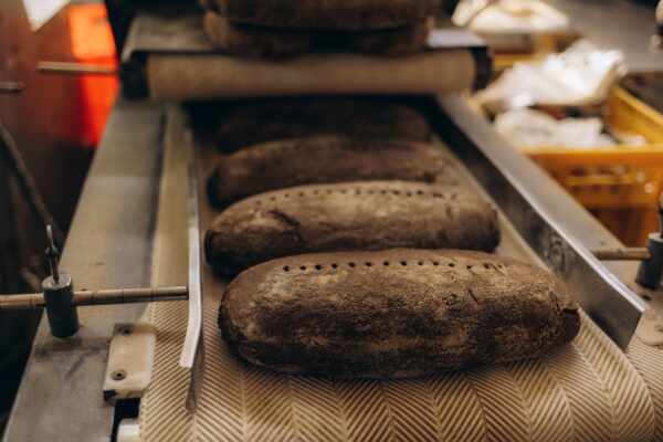 Conveyor Belts in Food Manufacturing: Meeting Standards in Food Processing