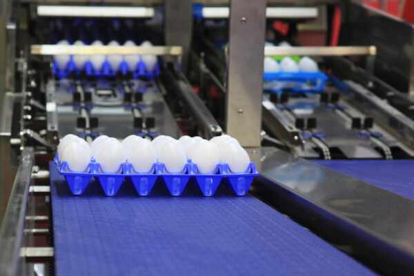 Maximising Conveyor Belt System Efficiency: Innovative Solutions for Food Manufacturers