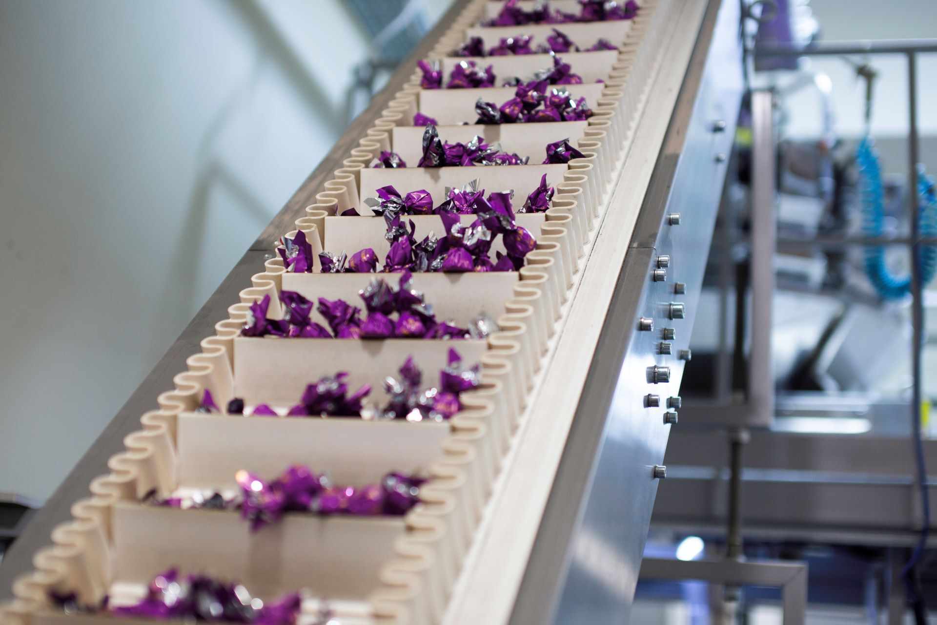 Selecting the Ideal Conveyor Belt for Your Industry